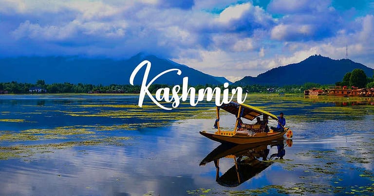 Amazing Kashmir -2024